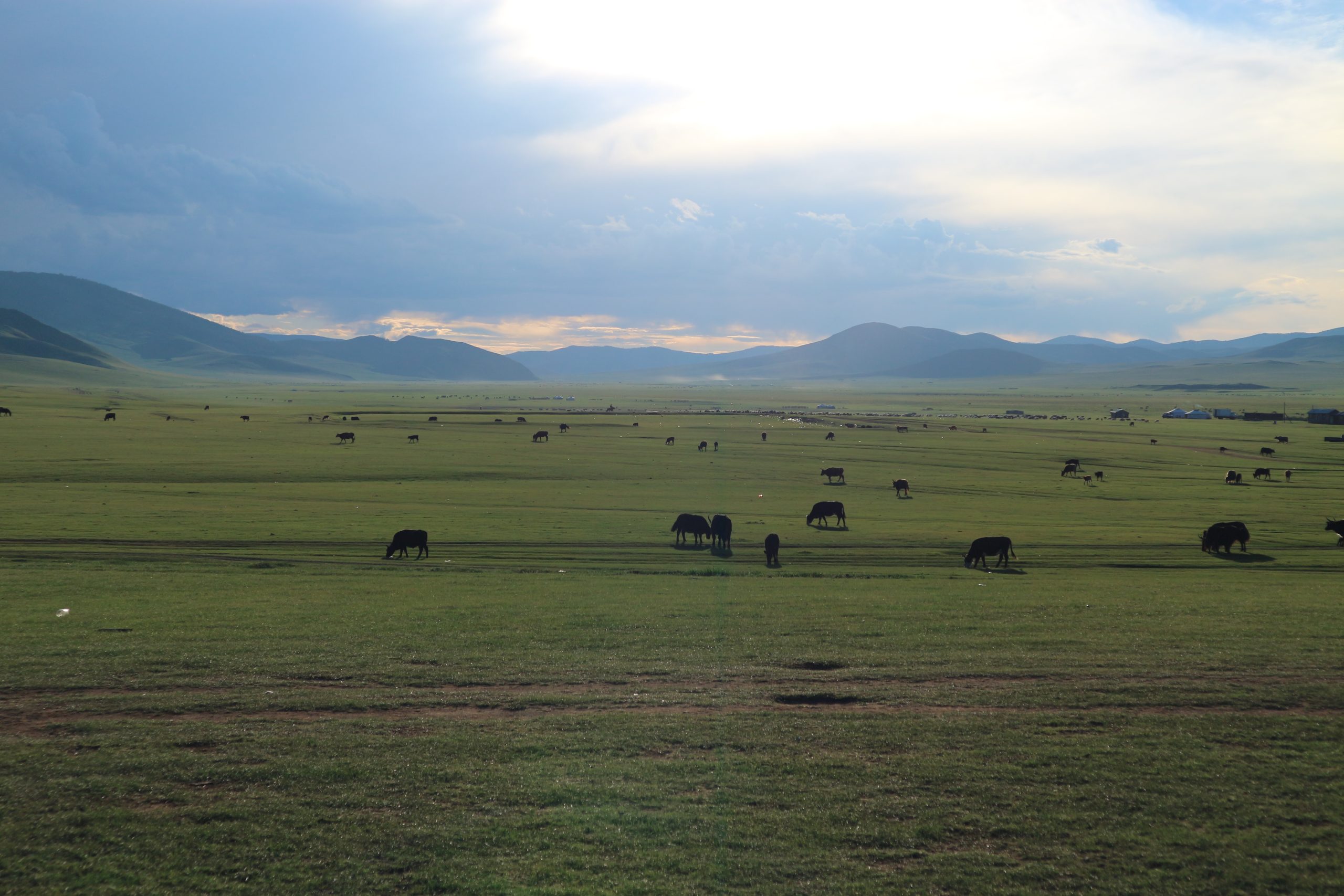 Familles nomades dans la steppe mongole — Terra Initia