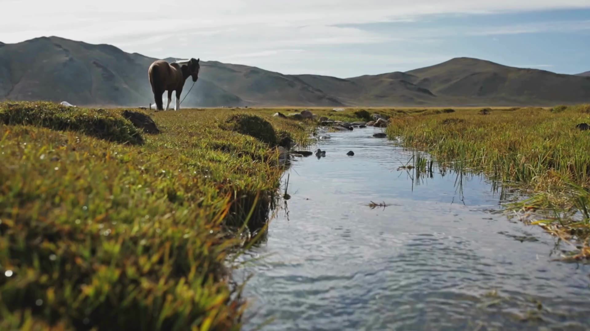 Voyage initiatique et chamanique en Mongolie — Woman Power 2026